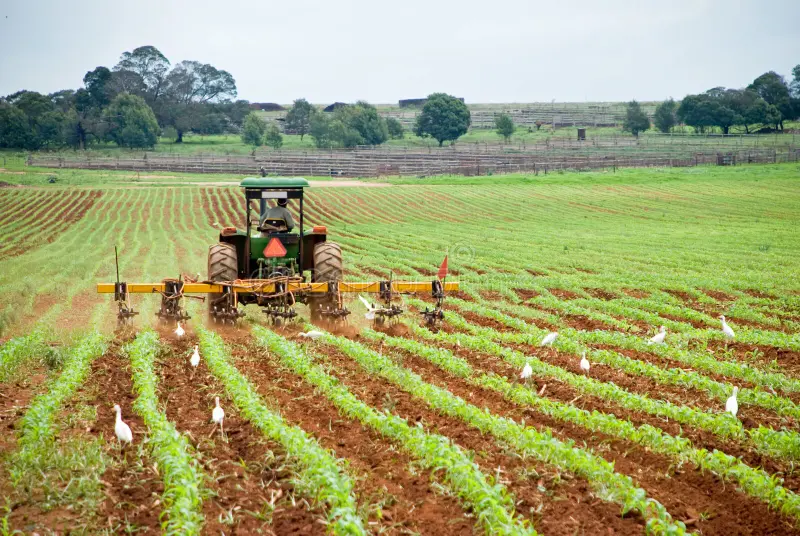 tractor-plough-7488574